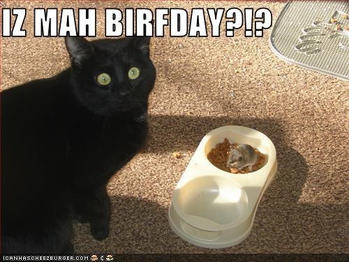 iz mah birfday