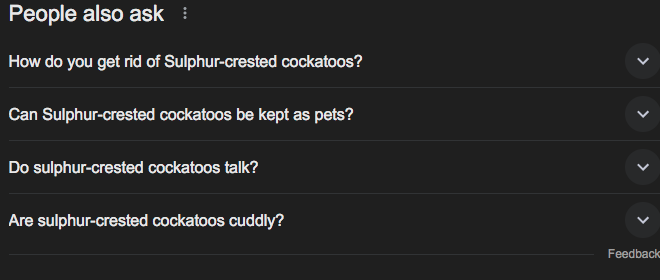 as_pets_or_as_pests
