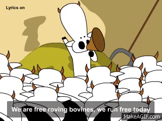 bovine freedom