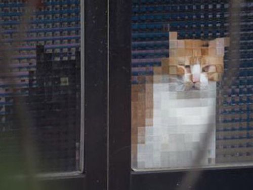 612