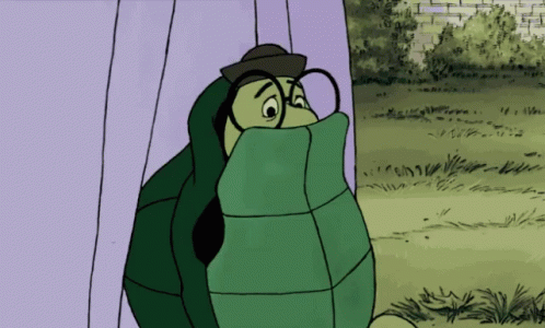 turtle-awkward-2735970744