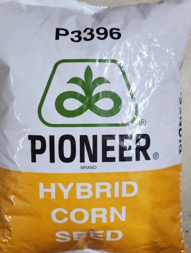 pioneer-3396-corn-seed-500x500