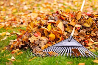 leaf-rake-400x267