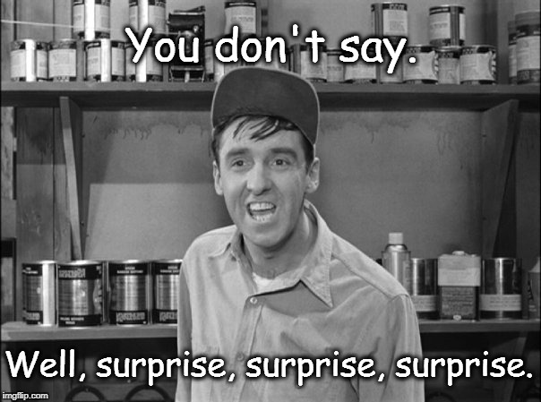 Gomer Pyle__Pyle__You don't say