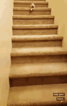 1000045185