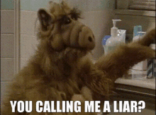 alf-you-calling-me-a-liar-145465774