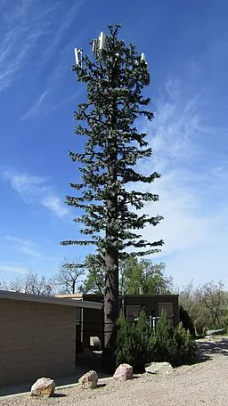 Cell_tower_in_Woodland_Park_34035518990