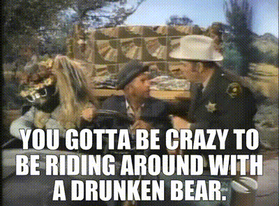 drunken-bear