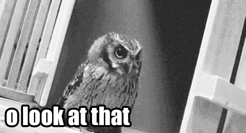 owl da fuq