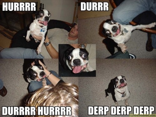 hurr durr derp derp derp