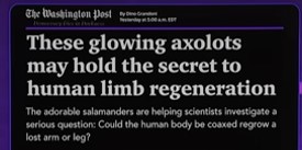 axos
