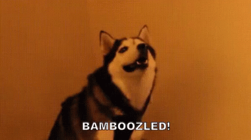 bamboozled