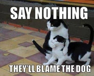 Say-Nothing-They-ll-Blame-The-Dog