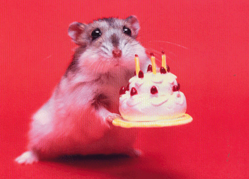 mouse%20with%20happy%20birthday%20cake