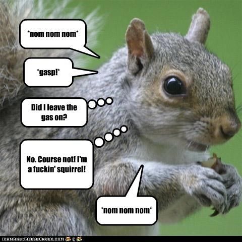 Funny-Squirrel-Quotes-033