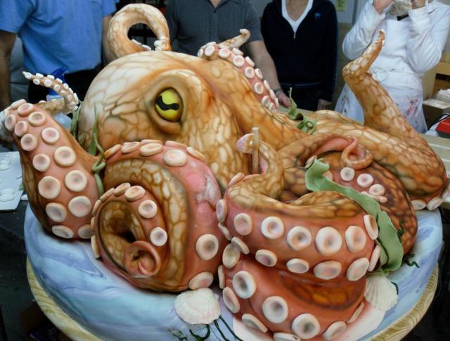 Octopus-640x485