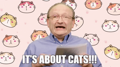 cats