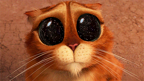 full of stars