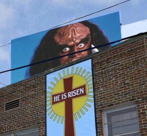 tng-gowron-risen