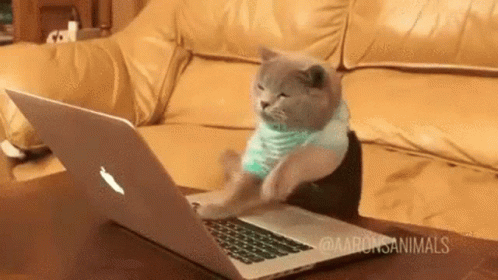 cat-typing-3270851812