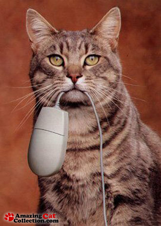 mouser