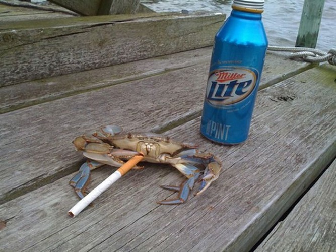 Smoking crab
