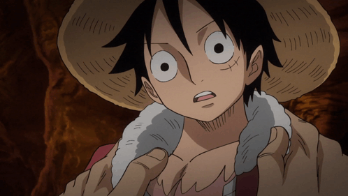 one piece anime luffy blank to laugh