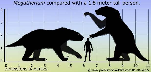 megatherium-size