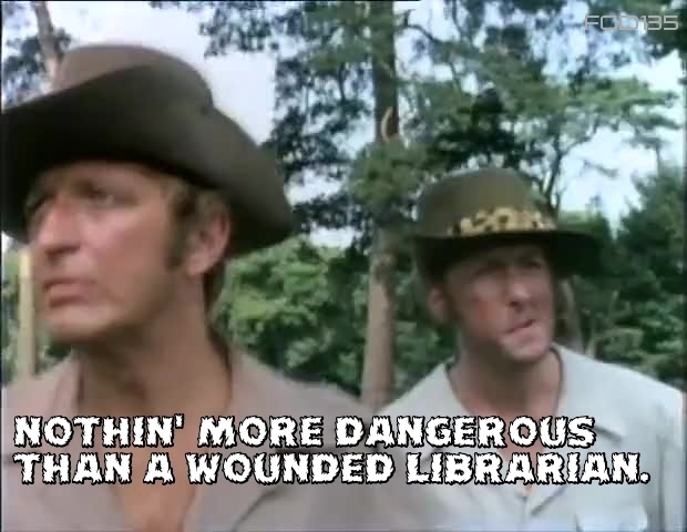 MPFC__Wounded librarian