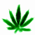 weed