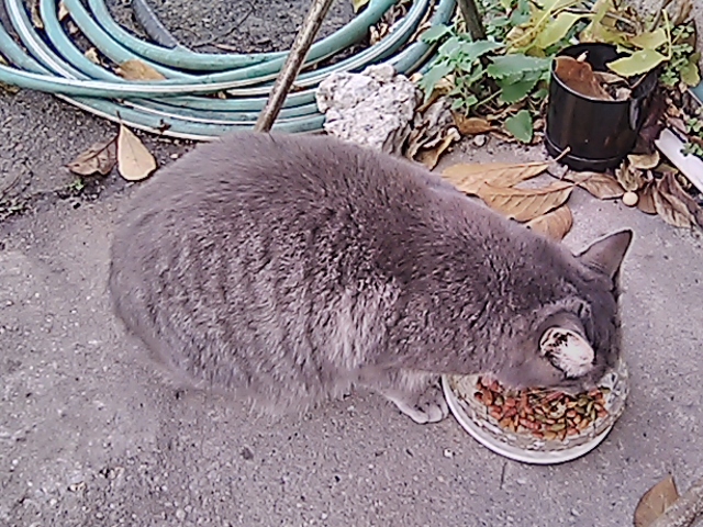 IMG_20191107_094838