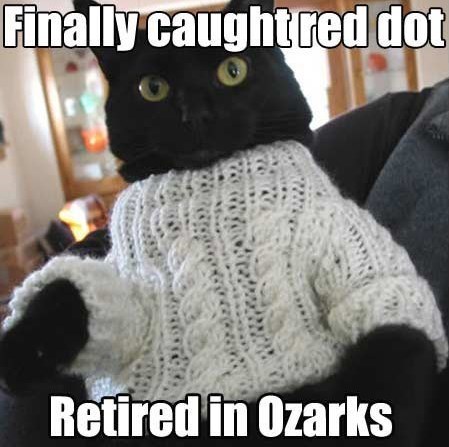 cat-finally-caught-red-dot-retired-ozarks
