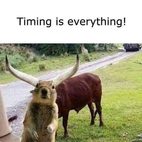 1102