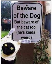 beware