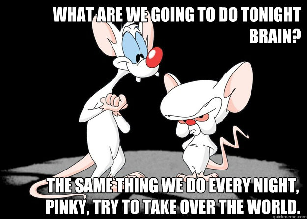 pinky-and-the-brain