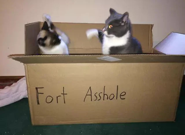 Fort Ahole