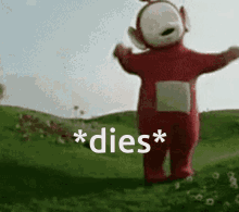 po-dies