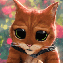 eyes
