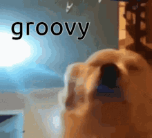 groovy