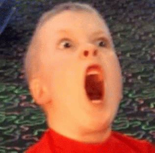17461380225975996556140976496490