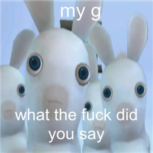 what-the-fuck-did-you-say